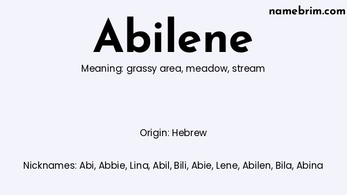 Infographic of Abilene name meaning, which is a name of Hebrew origin, Abilene means stream, and Abi is a nickname for Abilene.