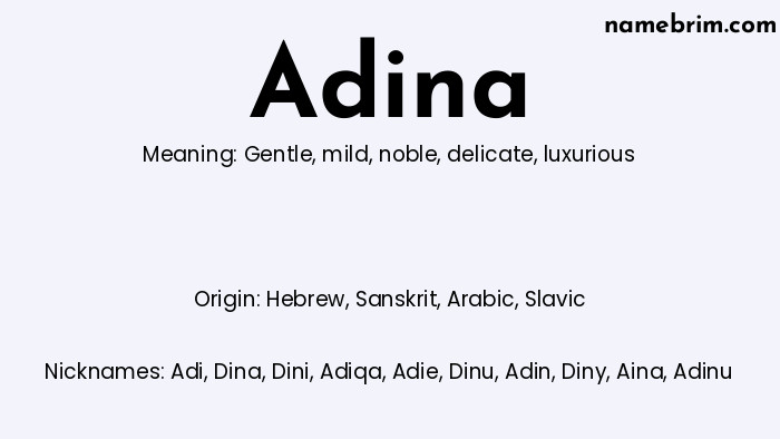 Infographic of Adina name meaning, which is a name of Hebrew origin, Adina means gentle, and Adi is a nickname for Adina.