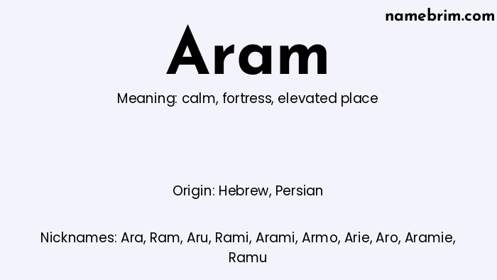 Infographic of Aram name meaning, which is a name of Hebrew origin, Aram means elevated place, and Ara is a nickname for Aram.