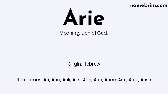 Infographic of Arie name meaning, which is a name of Hebrew origin, Arie means lion of God, and Ari is a nickname for Arie.