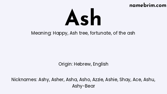 Infographic of Ash name meaning, which is a name of Hebrew origin, Ash means happy, and Ashy is a nickname for Ash.