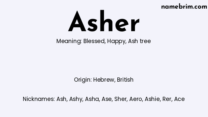 Infographic of Asher name meaning, which is a name of Hebrew origin, Asher means Blessed, and Ash is a nickname for Asher.