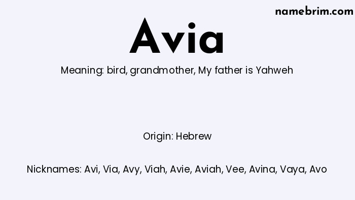 Infographic of Avia name meaning, which is a name of Hebrew origin, Avia means My father is Yahweh, and Avi is a nickname for Avia.