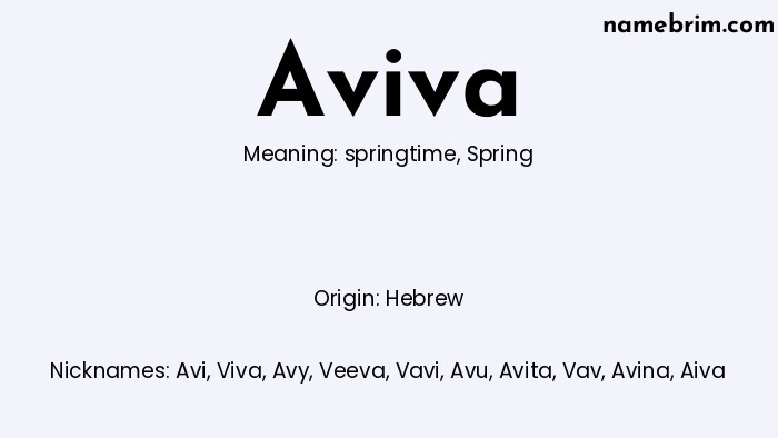 Infographic of Aviva name meaning, which is a name of Hebrew origin, Aviva means spring, and Avi is a nickname for Aviva.