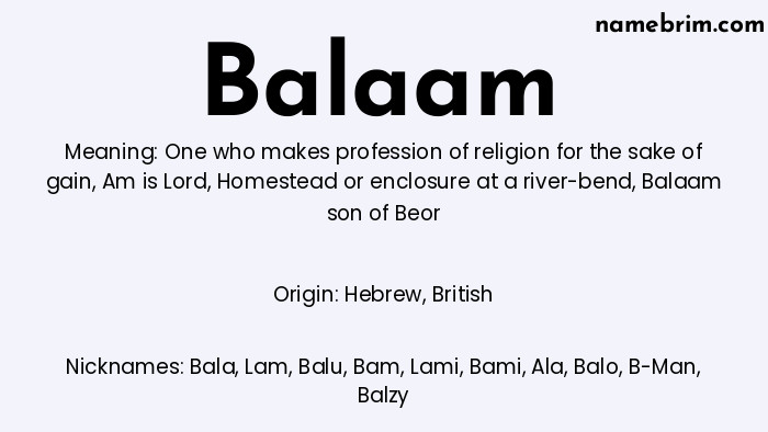 Infographic of Balaam name meaning, which is a name of Hebrew origin, Balaam means One who makes profession of religion for the sake of gain, and Bala is a nickname for Balaam.