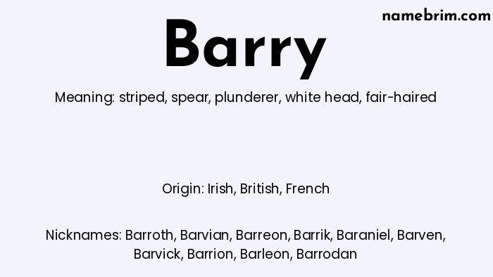 Barry, a name of Irish origin, means 'fair-haired.' A common nickname for Barry is Barroth.