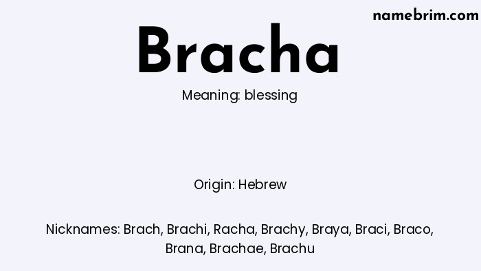 Infographic of Bracha name meaning, which is a name of Hebrew origin, Bracha means blessing, and Brach is a nickname for Bracha.