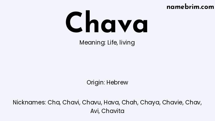 Infographic of Chava name meaning, which is a name of Hebrew origin, Chava means life, and Cha is a nickname for Chava.