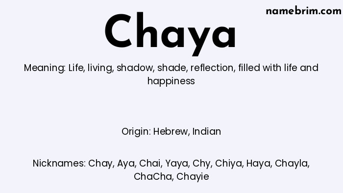 Infographic of Chaya name meaning, which is a name of Hebrew origin, Chaya means life, and Chay is a nickname for Chaya.