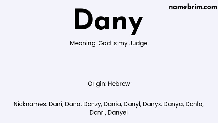 Infographic of Dany name meaning, which is a name of Hebrew origin, Dany means God is my Judge, and Dani is a nickname for Dany.