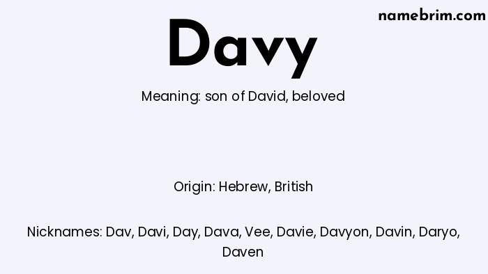 Infographic of Davy name meaning, which is a name of Hebrew origin, Davy means beloved, and Dav is a nickname for Davy.