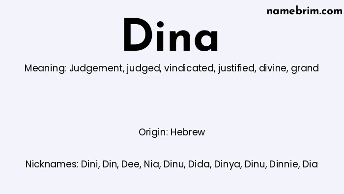 Infographic of Dina name meaning, which is a name of Hebrew origin, Dina means judgement, and Dini is a nickname for Dina.