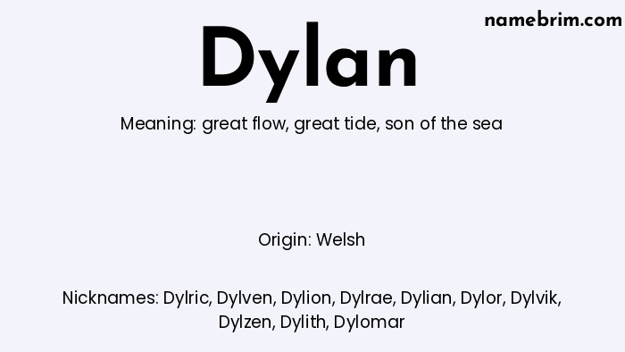 Dylan, a name of Welsh origin, means 'son of the sea.' A common nickname for Dylan is Dylric.