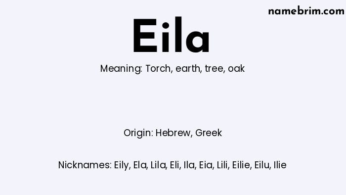 Infographic of Eila name meaning, which is a name of Hebrew origin, Eila means torch, and Eily is a nickname for Eila.