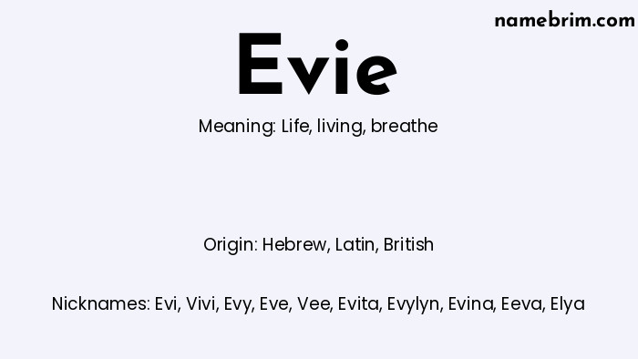 Infographic of Evie name meaning, which is a name of Hebrew origin, Evie means life, and Evi is a nickname for Evie.