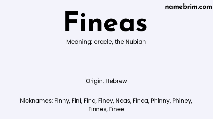 Infographic of Fineas name meaning, which is a name of Hebrew origin, Fineas means the Nubian, and Finny is a nickname for Fineas.