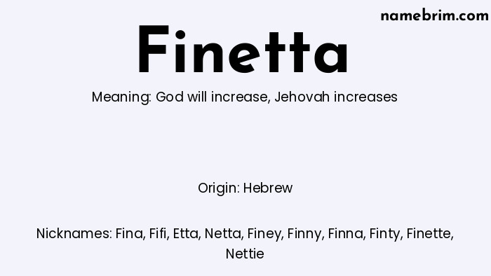 Infographic of Finetta name meaning, which is a name of Hebrew origin, Finetta means Jehovah increases, and Fina is a nickname for Finetta.