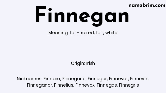 Finnegan, a name of Irish origin, means 'white.' A common nickname for Finnegan is Finnaro.