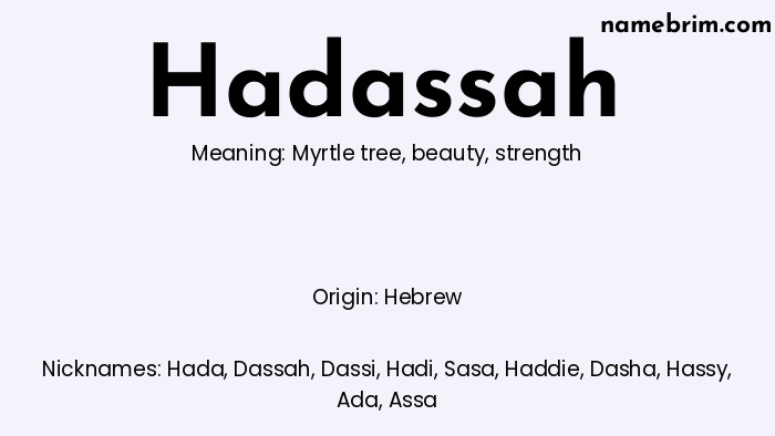 Infographic of Hadassah name meaning, which is a name of Hebrew origin, Hadassah means myrtle tree, and Hada is a nickname for Hadassah.