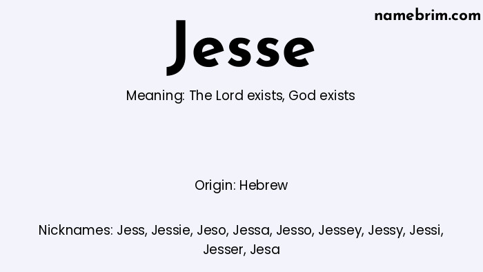 Infographic of Jesse name meaning, which is a name of Hebrew origin, Jesse means the Lord exists, and Jess is a nickname for Jesse.