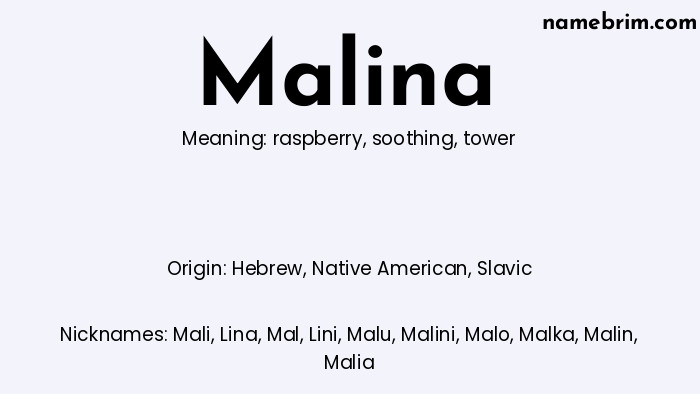 Infographic of Malina name meaning, which is a name of Hebrew origin, Malina means tower, and Mali is a nickname for Malina.