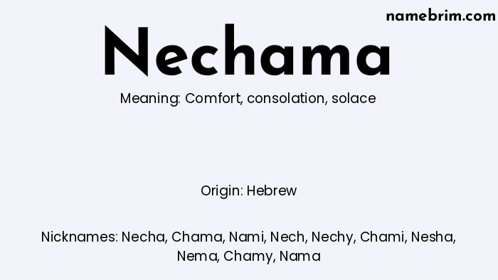 Infographic of Nechama name meaning, which is a name of Hebrew origin, Nechama means comfort, and Necha is a nickname for Nechama.