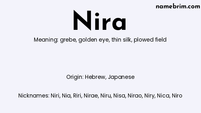 Infographic of Nira name meaning, which is a name of Hebrew origin, Nira means plowed field, and Niri is a nickname for Nira.