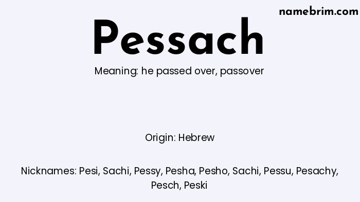 Infographic of Pessach name meaning, which is a name of Hebrew origin, Pessach means passover, and Pesi is a nickname for Pessach.