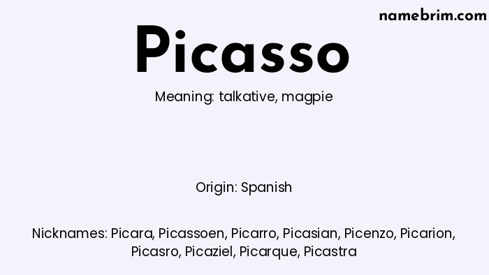 Picasso, a name of Spanish origin, means 'magpie.' A common nickname for Picasso is Picara.