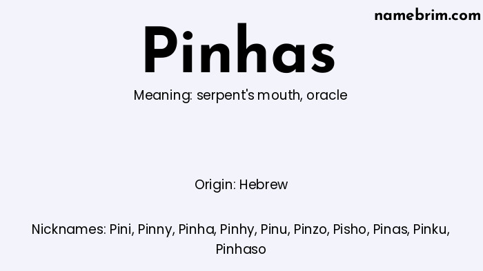 Pinhas, a name of Hebrew origin, means 'oracle.' A common nickname for Pinhas is Pini.