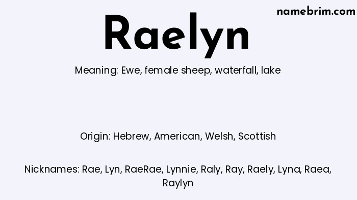 Infographic of Raelyn name meaning, which is a name of Hebrew origin, Raelyn means ewe, and Rae is a nickname for Raelyn.