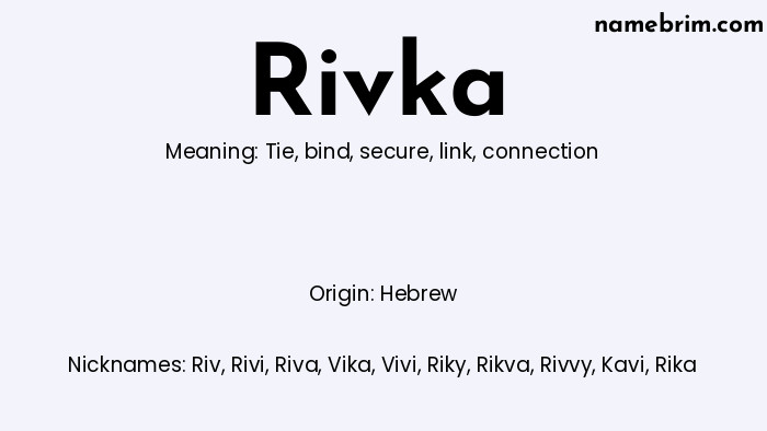 Infographic of Rivka name meaning, which is a name of Hebrew origin, Rivka means tie, and Riv is a nickname for Rivka.