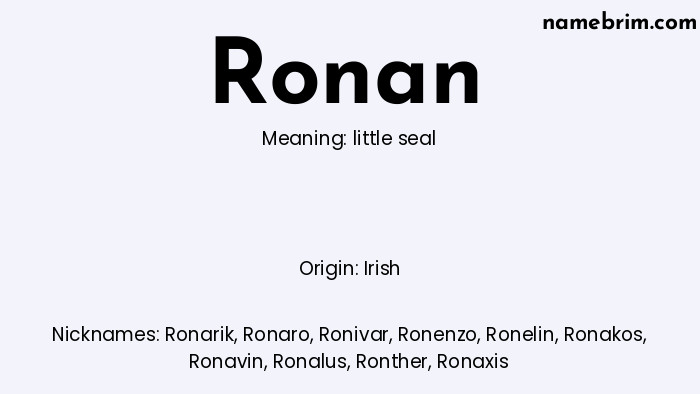 Ronan, a name of Irish origin, means 'little seal.' A common nickname for Ronan is Ronarik.