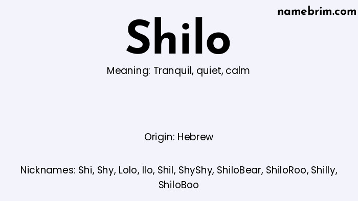 Infographic of Shilo name meaning, which is a name of Hebrew origin, Shilo means tranquil, and Shi is a nickname for Shilo.