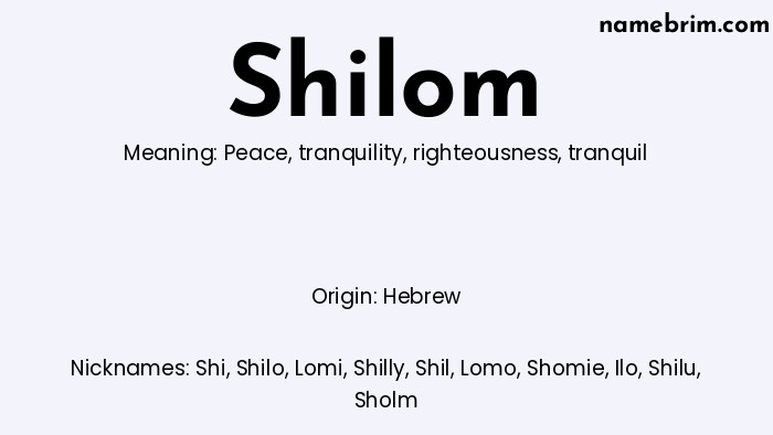 Infographic of Shilom name meaning, which is a name of Hebrew origin, Shilom means peace, and Shi is a nickname for Shilom.