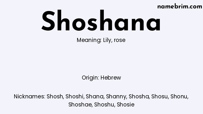 Infographic of Shoshana name meaning, which is a name of Hebrew origin, Shoshana means lily, and Shosh is a nickname for Shoshana.