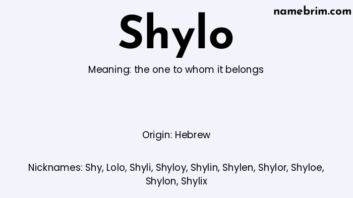 Shylo, a name of Hebrew origin, means 'the one to whom it belongs.' A common nickname for Shylo is Shy.