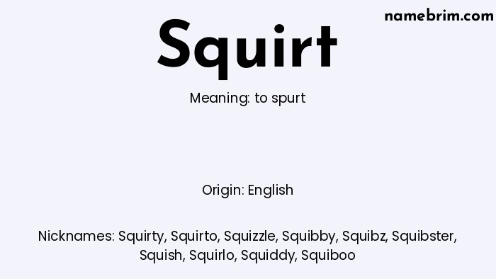 Squirt, a name of English origin, means 'to spurt.' A common nickname for Squirt is Squirty.