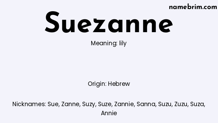 Infographic of Suezanne name meaning, which is a name of Hebrew origin, Suezanne means lily, and Sue is a nickname for Suezanne.