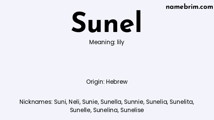 Infographic of Sunel name meaning, which is a name of Hebrew origin, Sunel means lily, and Suni is a nickname for Sunel.