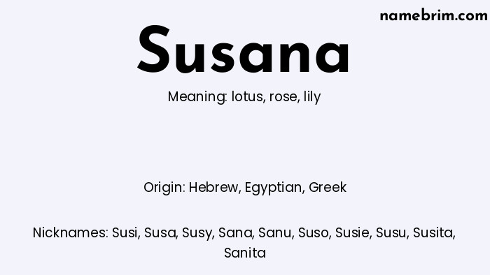 Infographic of Susana name meaning, which is a name of Hebrew origin, Susana means lily, and Susi is a nickname for Susana.