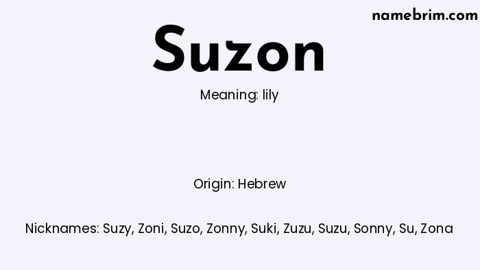 Infographic of Suzon name meaning, which is a name of Hebrew origin, Suzon means lily, and Suzy is a nickname for Suzon.