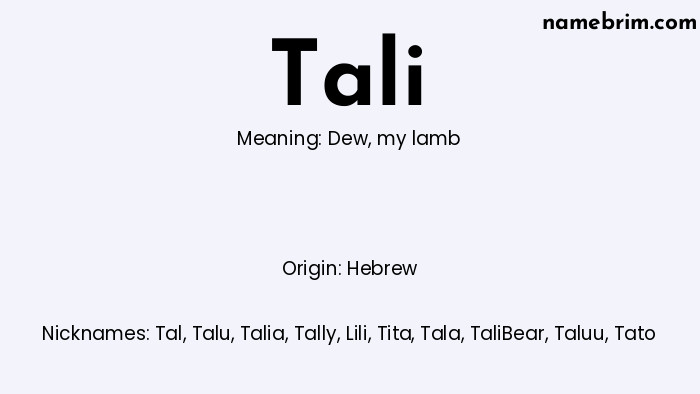 Infographic of Tali name meaning, which is a name of Hebrew origin, Tali means my lamb, and Tal is a nickname for Tali.