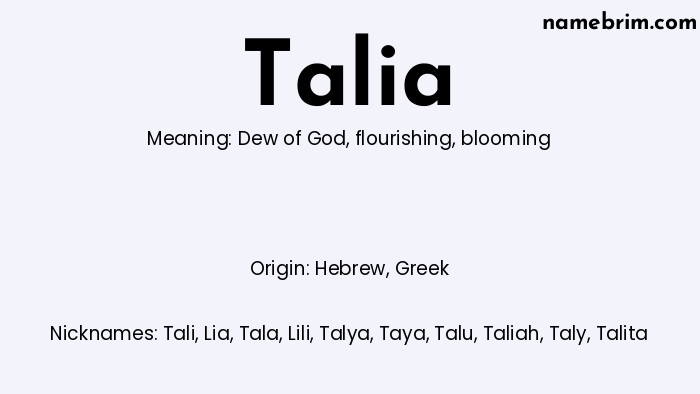 Infographic of Talia name meaning, which is a name of Hebrew origin, Talia means dew of God, and Tali is a nickname for Talia.