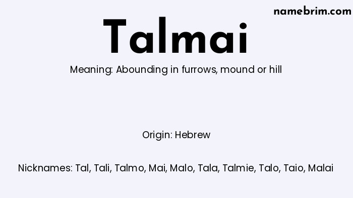 Infographic of Talmai name meaning, which is a name of Hebrew origin, Talmai means abounding in furrows, and Tal is a nickname for Talmai.