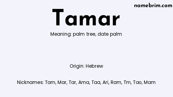 Infographic of Tamar name meaning, which is a name of Hebrew origin, Tamar means date palm, and Tam is a nickname for Tamar.