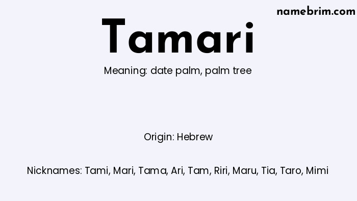 Infographic of Tamari name meaning, which is a name of Hebrew origin, Tamari means palm tree, and Tami is a nickname for Tamari.