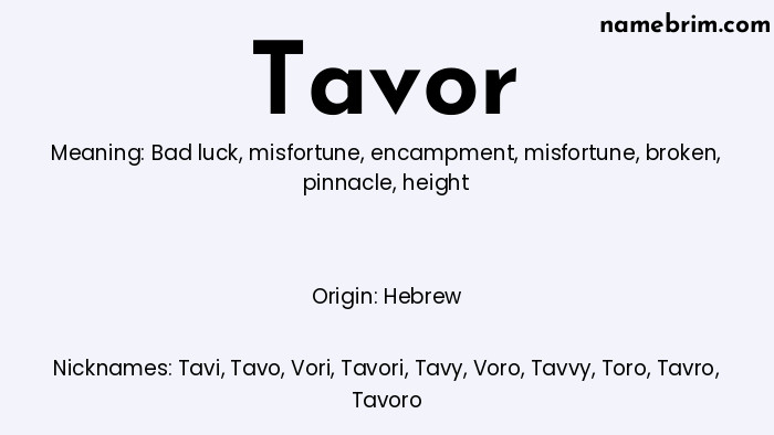 Infographic of Tavor name meaning, which is a name of Hebrew origin, Tavor means bad luck, and Tavi is a nickname for Tavor.