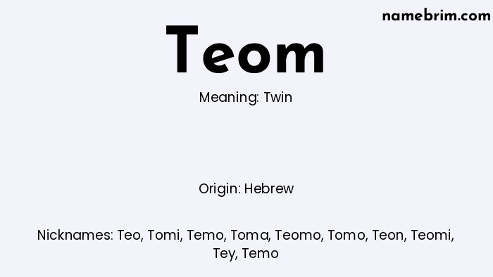 Infographic of Teom name meaning, which is a name of Hebrew origin, Teom means twin, and Teo is a nickname for Teom.