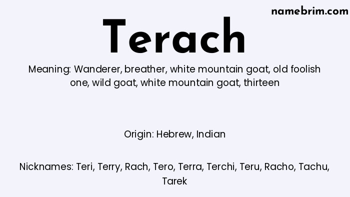 Infographic of Terach name meaning, which is a name of Hebrew origin, Terach means wanderer, and Teri is a nickname for Terach.